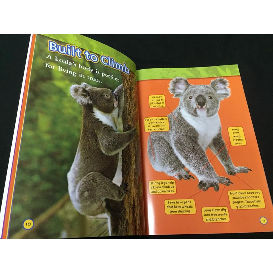 National Geographic Kids Level 1 (38 Books)