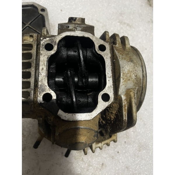 Đầu bò Sym 110cm