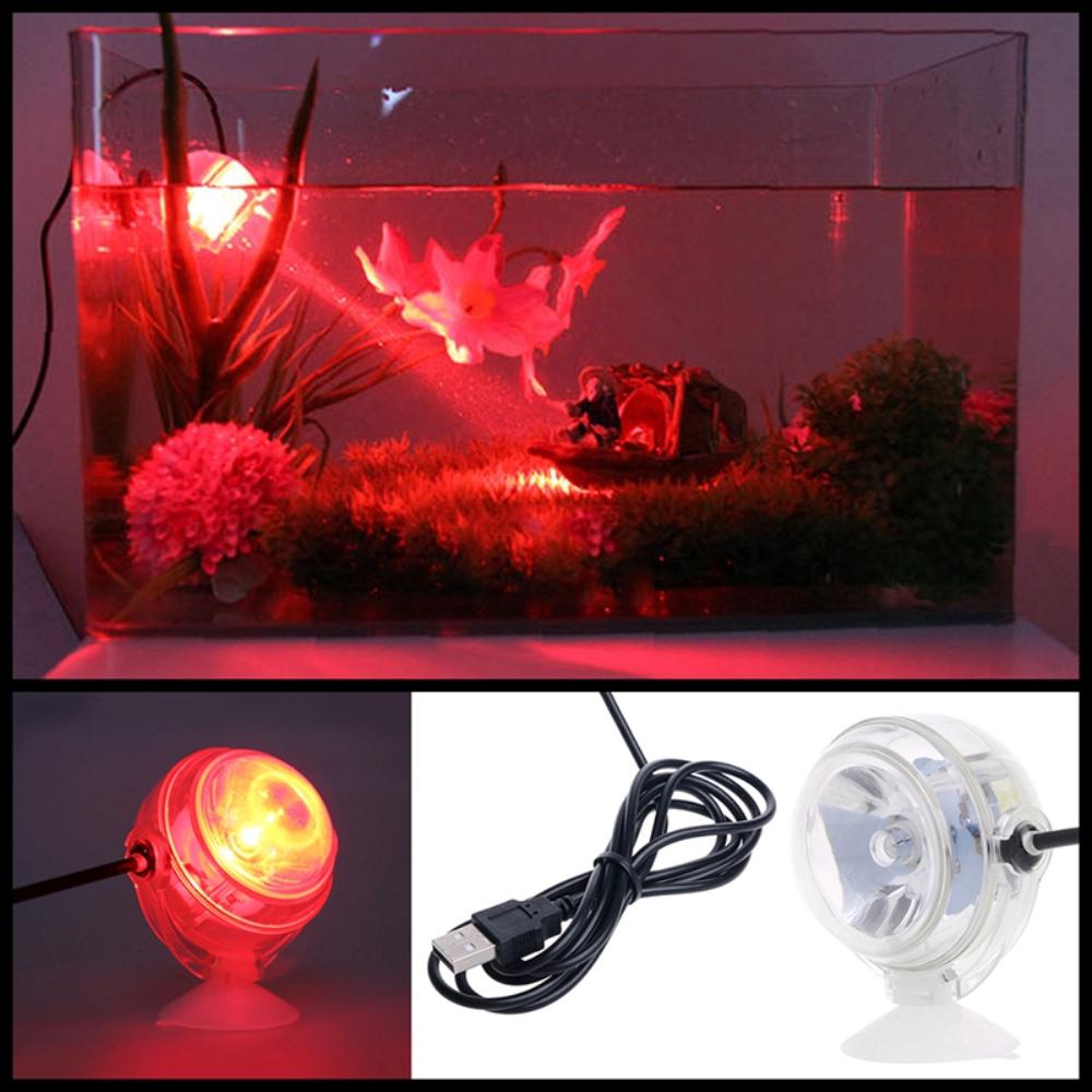 Đèn LED 1W trang trí hòn non bộ