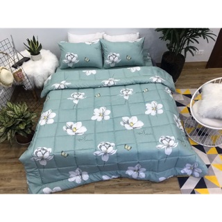 Set chăn ga đũi mịn chăn phao trần bông