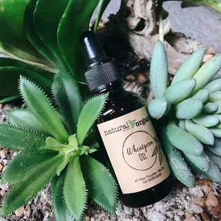 Dầu hạt lúa mì Wheat Germ Oil Mountain Rose Herbs / loại 30ml