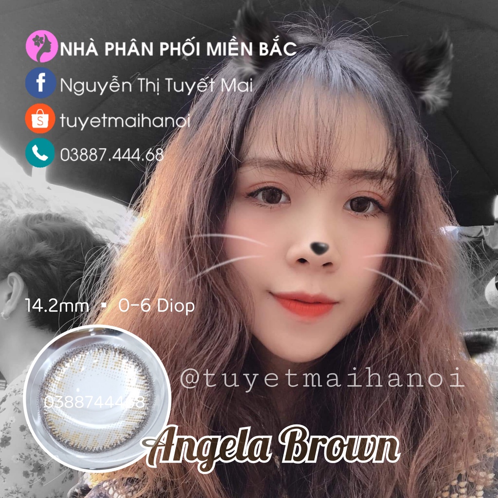 [ Ảnh Thật ] Lens Cận Nâu Tự Nhiên Angela Brown 14.2mm - Kính Áp Tròng Hàn Quốc Vassen Sexy Me