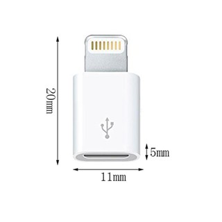 Combo 2 Đầu Chuyển Micro USB Sang Lightning