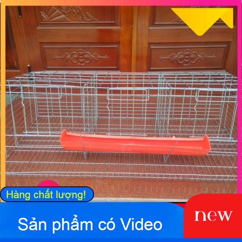 Chuồng nuôi gà đẻ công nghiệp - Chuồng gà đẻ 3 ngăn - 3 cửa nuôi từ 6 đến 9 con gà mái sinh sản