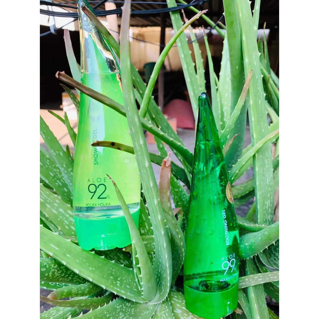 Gel dưỡng da chiết xuất lô hội Holika Holika Aloe 99% Soothing gel nhập khẩu Hàn Quốc