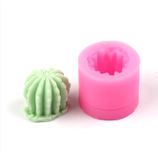 Khuôn rau câu silicon 3D cây xương rồng tròn