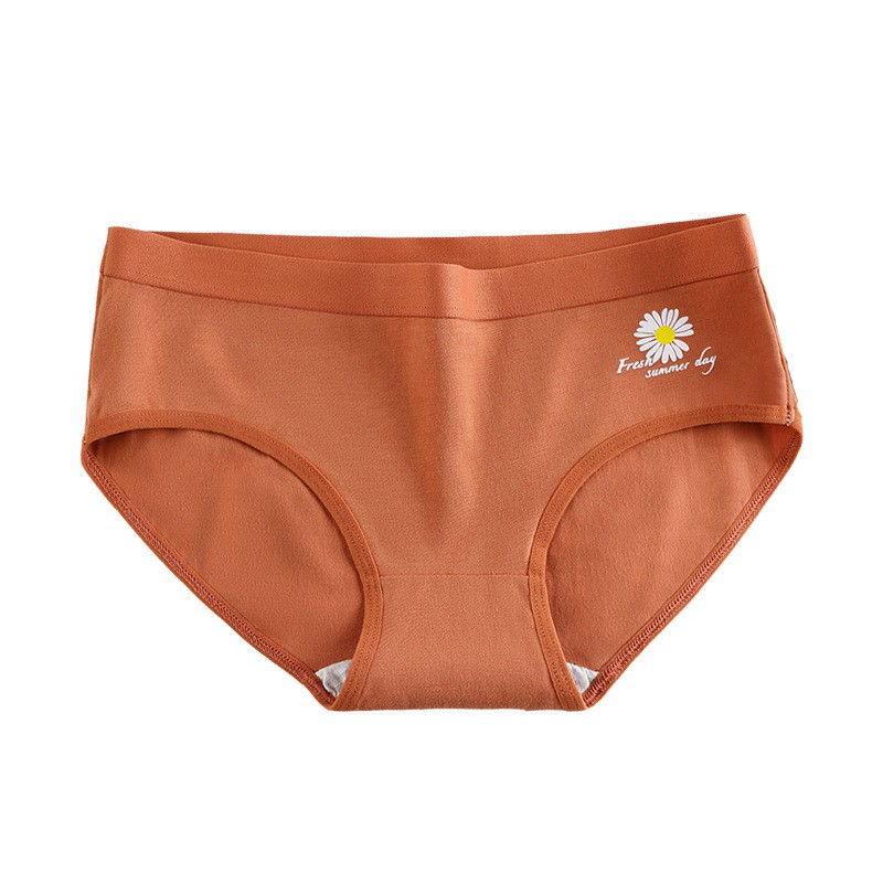 Quần Lót Cotton Kháng Khuẩn Họa Tiết Hoa Cúc Nhỏ Phong Cách Nhật Bản Thời Trang Mùa Hè Cho Nữ | BigBuy360 - bigbuy360.vn