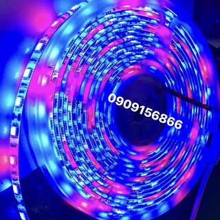 Led dây rgb 12v 24v 7 màu 5050 - loại trong nhà và ngoài trời