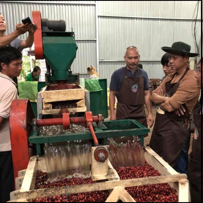 Cafe nguyên chất cà phê bột A8 AEROCO COFFEE cà phê nguyên chất 100% gói 250g | BigBuy360 - bigbuy360.vn