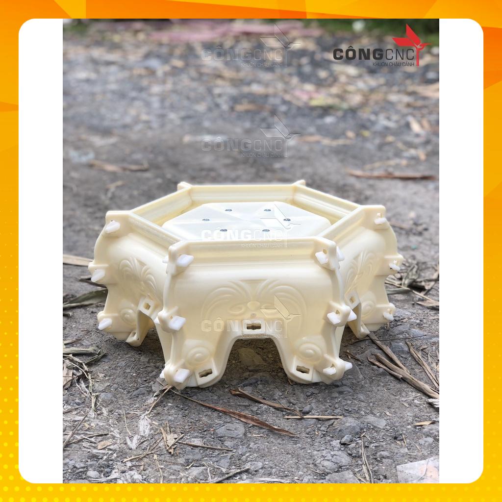 Khuôn Chậu Cảnh ABs, Khuôn Chân Đôn Kỷ 43-45