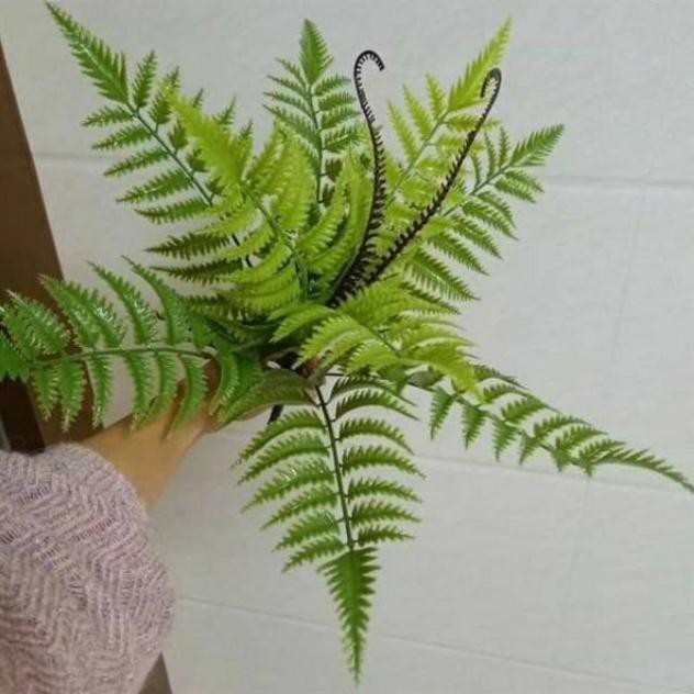 Cụm dương sỉ 9 lá - cây giả