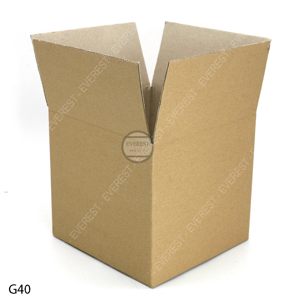 Combo 20 thùng G40 21x21x20 giấy carton gói hàng Everest