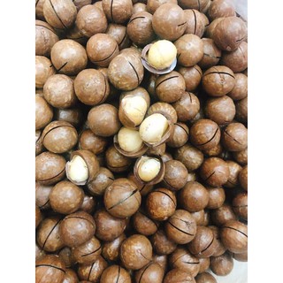 Hạt macca úc - tốt cho sức khỏe 100g / 250g / 500g