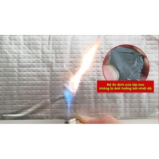 [CHÍNH HÃNG] BĂNG KEO CHỐNG THẤM NHẬT BẢN - BOSUI (5cmx5m)