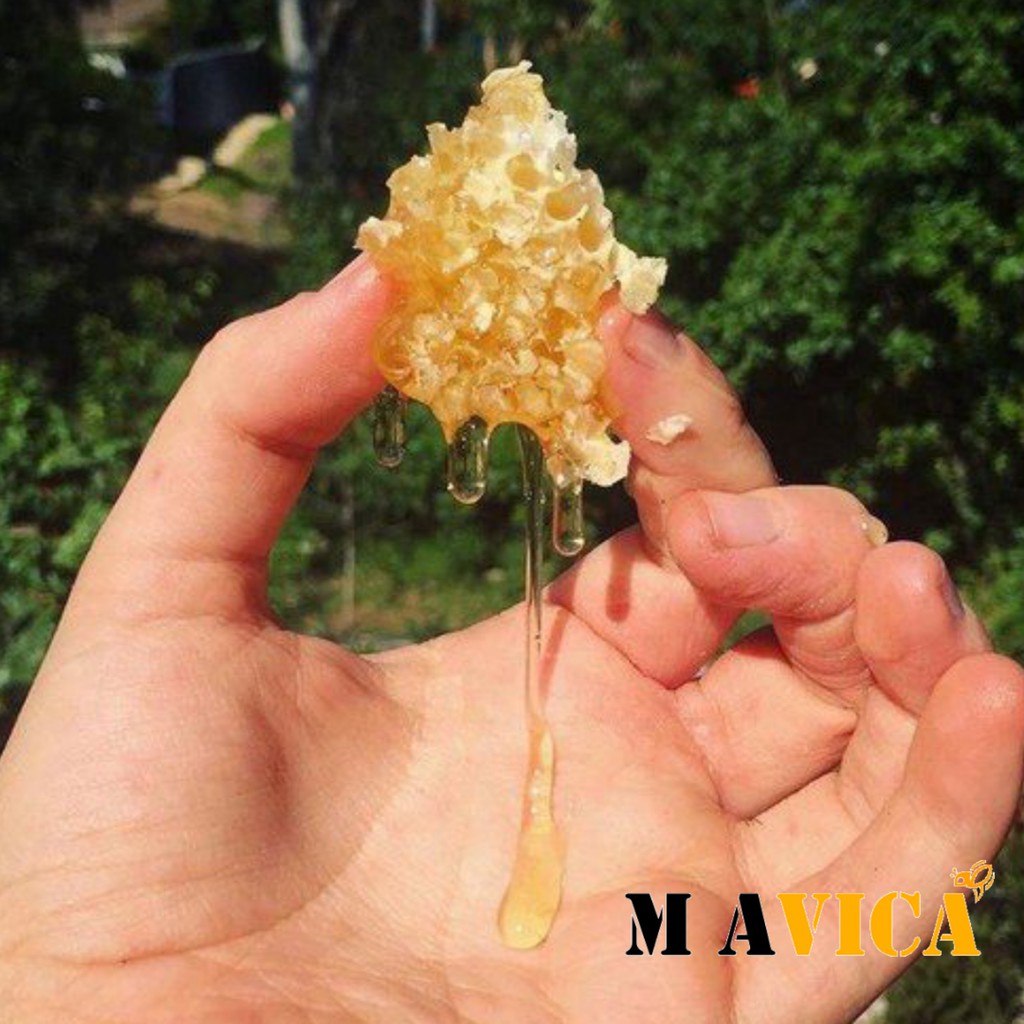 [TRỢ GIÁ] Mật ong rừng cafe tây nguyên bán buôn - Cam kết mật ong nguyên chất- MAVICA