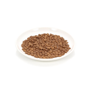 [Gói 1kg] Thức ăn hạt cho Mèo mọi lứa tuổi Nutri Plan, Nutri Plan Cat All Life Stage Plus