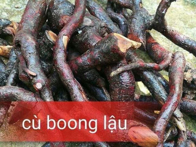 Mú từn _ Cù boong lậu [500g] tăng cường sinh lí