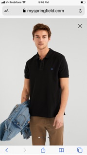 Polo thun cá sấu Springfield xuất Mỹ