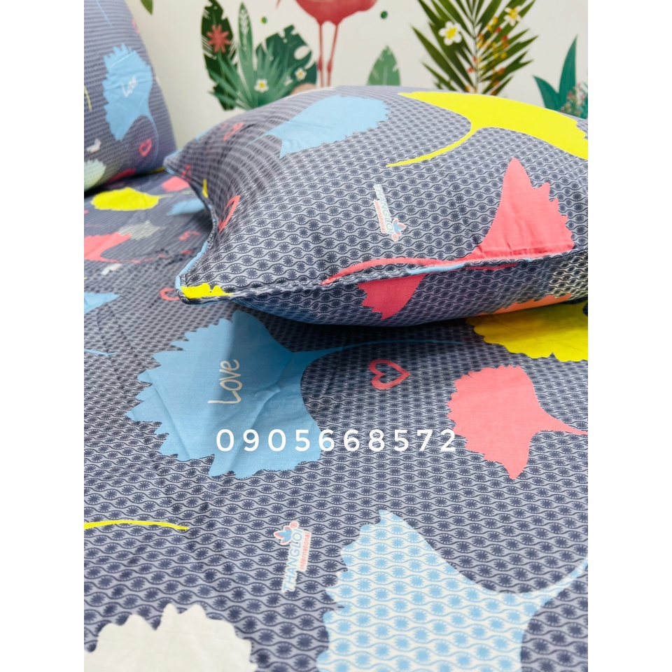 Sét ga gối thắng lợi 100% coton không kèm mền | BigBuy360 - bigbuy360.vn