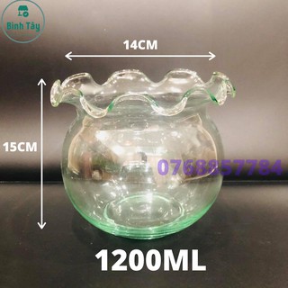 Hồ cá để bàn Bể cá Mini thủy sinh TAI BÈO, chậu cây phong thủy thủy tinh size 13*15 ML- HB3