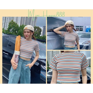 (Ảnh Thật , Sẵn ) Áo Croptop Sọc 7 màu Tay ngắn phối quần nhung tăm ống suông màu xanh Ngọc minihouse888
