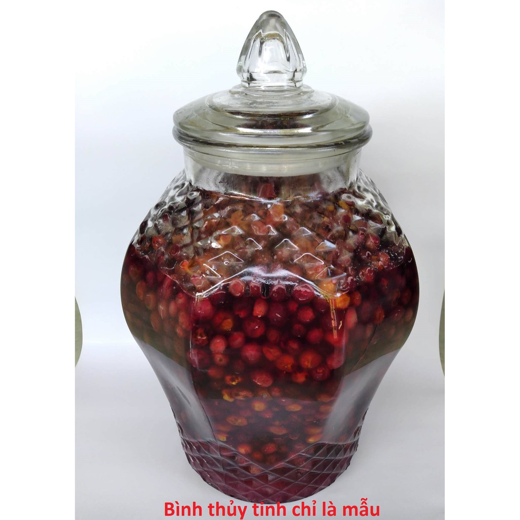 NHO RỪNG NGÂM ĐƯỜNG PHÈN (1 LÍT)