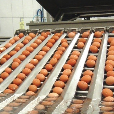 Bột Protein Lòng Trắng Trứng OVOVITA Vị Vani Hũ 560gr Kích Thích Phát Triển Cơ