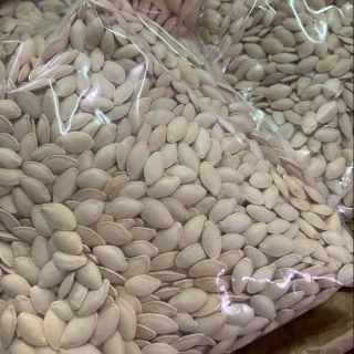 *FRESHIP 99K * HẠT BÍ RANG MUỐI 1KG