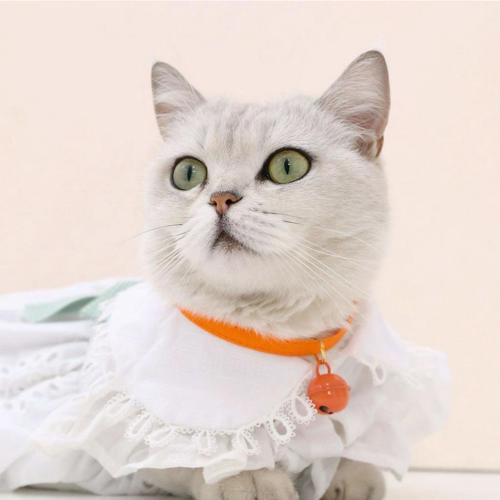 Vòng Cổ Có Chuông Nhiều Màu Cho Thú Cưng