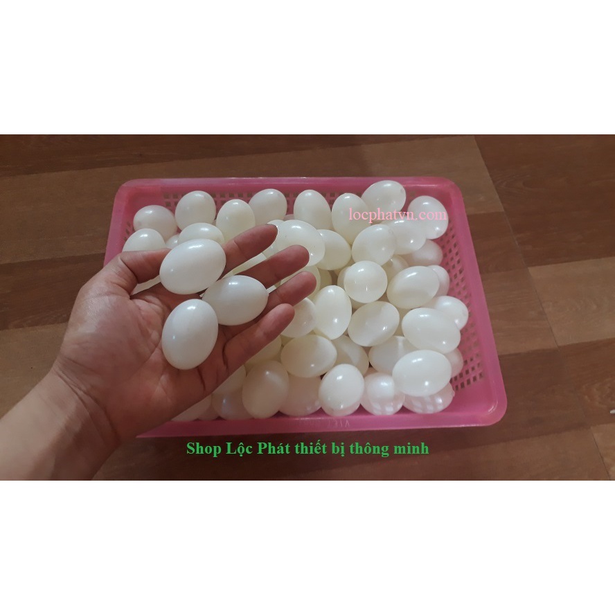 Trứng bồ câu giả, nước bên trong, vỏ nhựa dày không méo, màu trắng cho chim ấp TRN-TR1VC