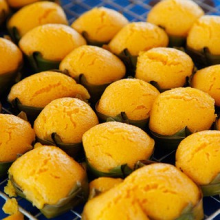 Đường Thốt Nốt Bột (Palm sugar)
