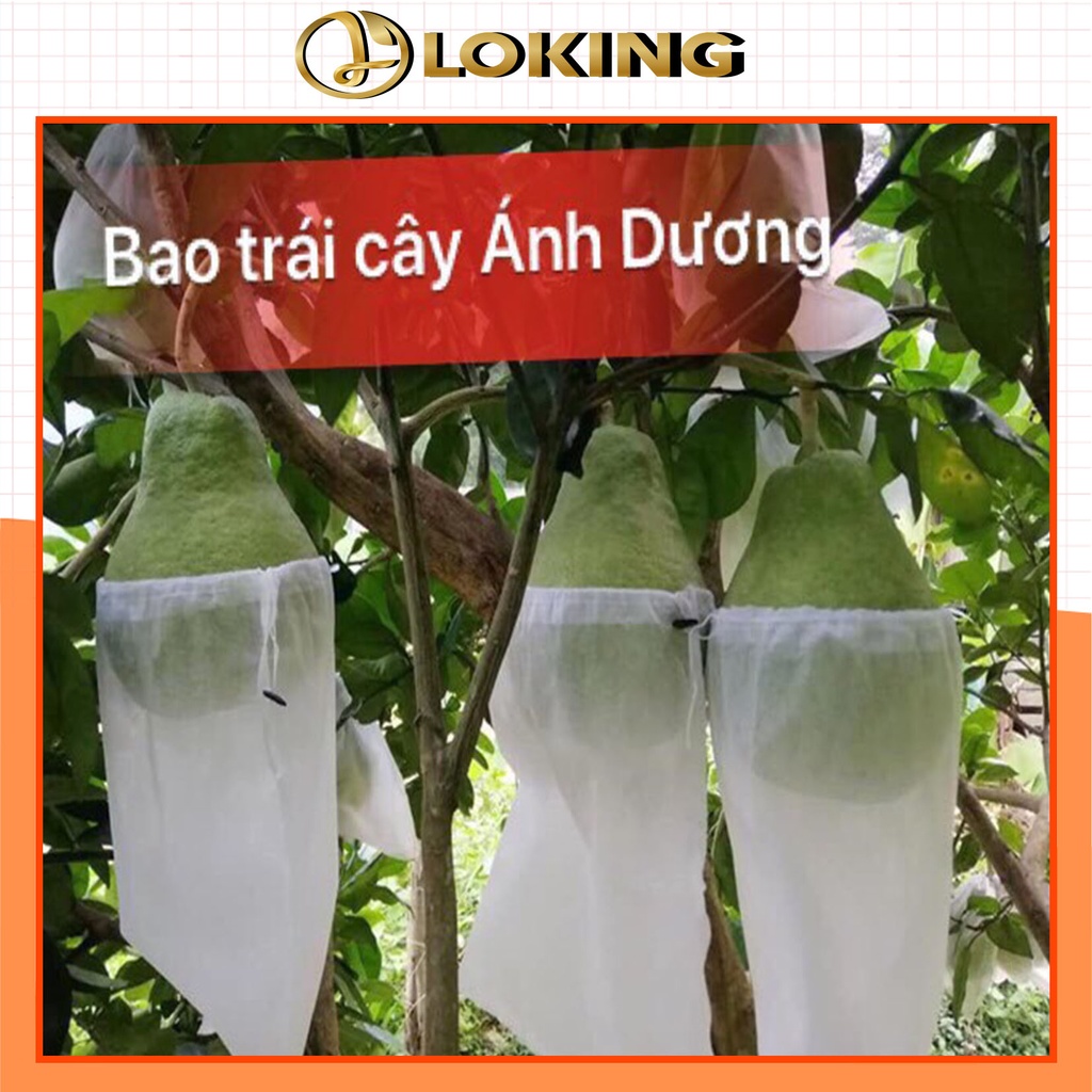 Túi bọc hoa quả ổi, cam, mướp, bưởi, Ánh Dương, có nút cài, 100 túi/sp - LOKING