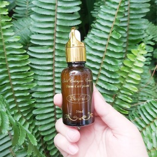 serum baybela ( lọ 30ml )