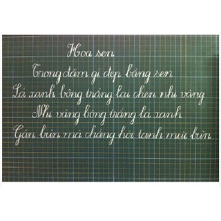Bảng từ xanh kẻ tiểu học viết phấn 80x120cm (tặng kèm phấn/nam châm)