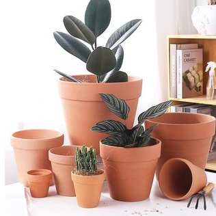 Chậu Đất Nung Nâu Trồng Cây Sen Đá, Xương Rồng Đủ Kích Thước - Vườn Sen Đá
