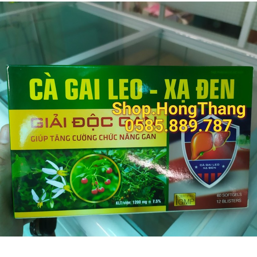 Cà Gai Leo Xạ Đen Giải Độc Rượu Bảo Vệ Gan, bổ gan mát gan, giải độc, tăng cường chức năng hộp 60 viên