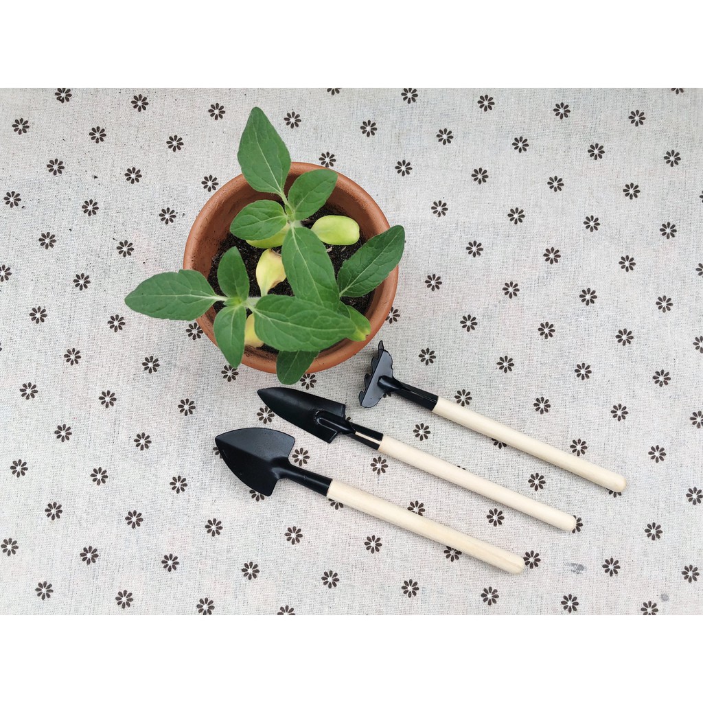 Dụng cụ làm vườn mini