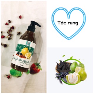 Bộ dầu gội thảo dược trị rụng tóc 350ml