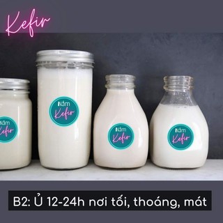 nấm  kefir