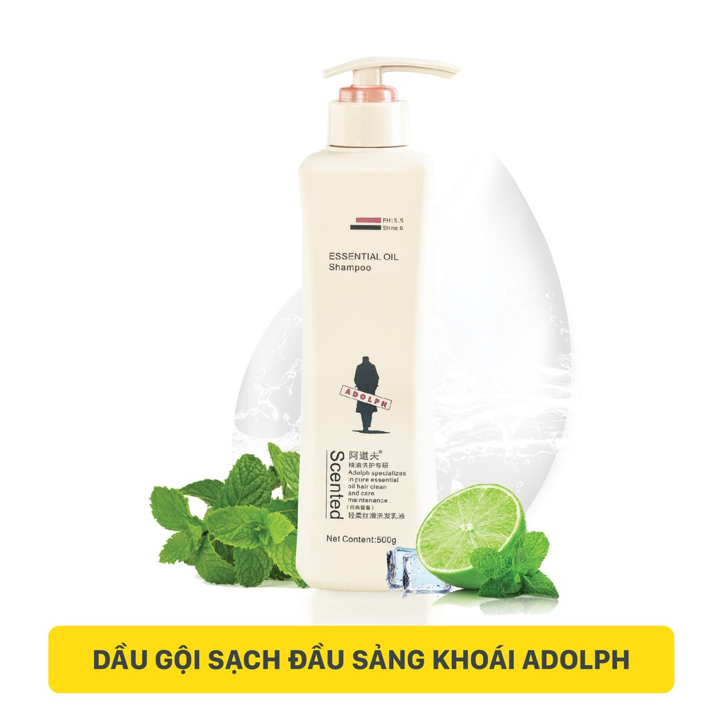 Combo Dầu Gội Sạch Dầu Sảng Khoái 500gr Và Sữa Tắm Tinh Dầu 500gr | BigBuy360 - bigbuy360.vn