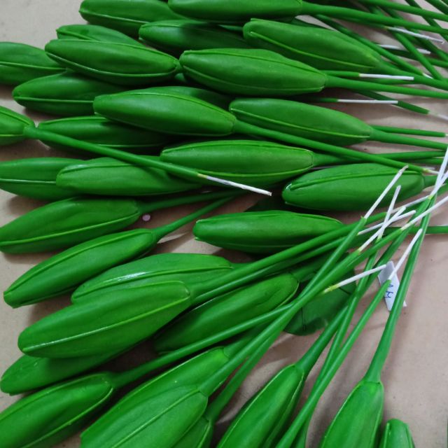 Nụ ly xanh
