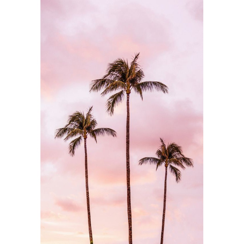 Wall Collage  keo sẵng lột dán tường trang trí decor phòng ngủ - theme Hồng nhạt