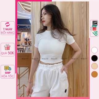 Áo Croptop Tay Ngắn MIN19 Áo Thun Body Nữ Tay Ngắn Bigsize Cổ Tròn Dáng Ôm Màu Trắng Đen Nâu Be Thời Trang Hàn Quốc