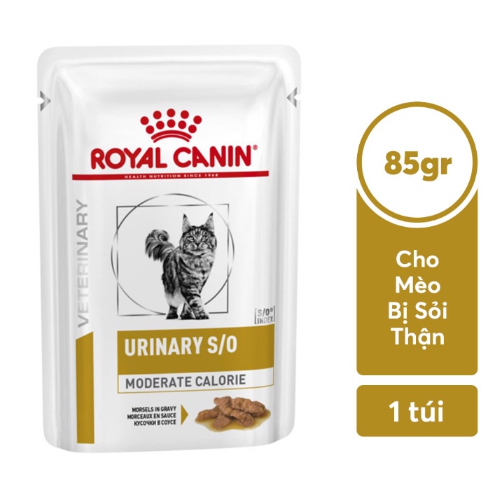 Pate Royal Canin Urinary S/O cho mèo bị sỏi thận  85g