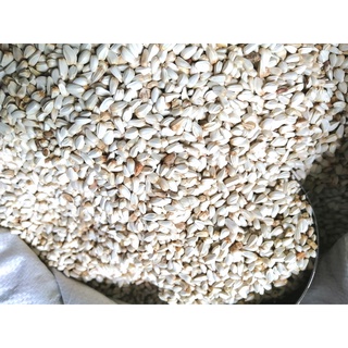 Hạt Kham dành cho gà đá, hamster, chim, vẹt.