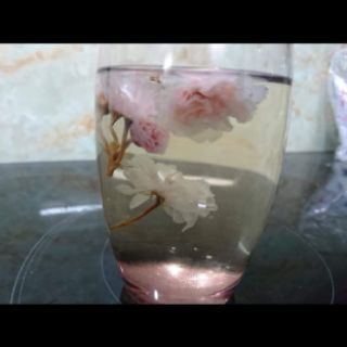 TRÀ VIÊN HOA ANH ĐÀO