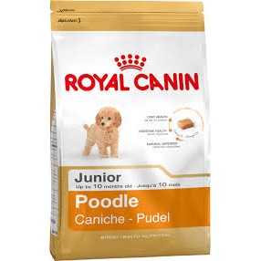 [ Bán sỉ ] THỨC ĂN CHÓ ROYAL CANIN JUNIO POODLE