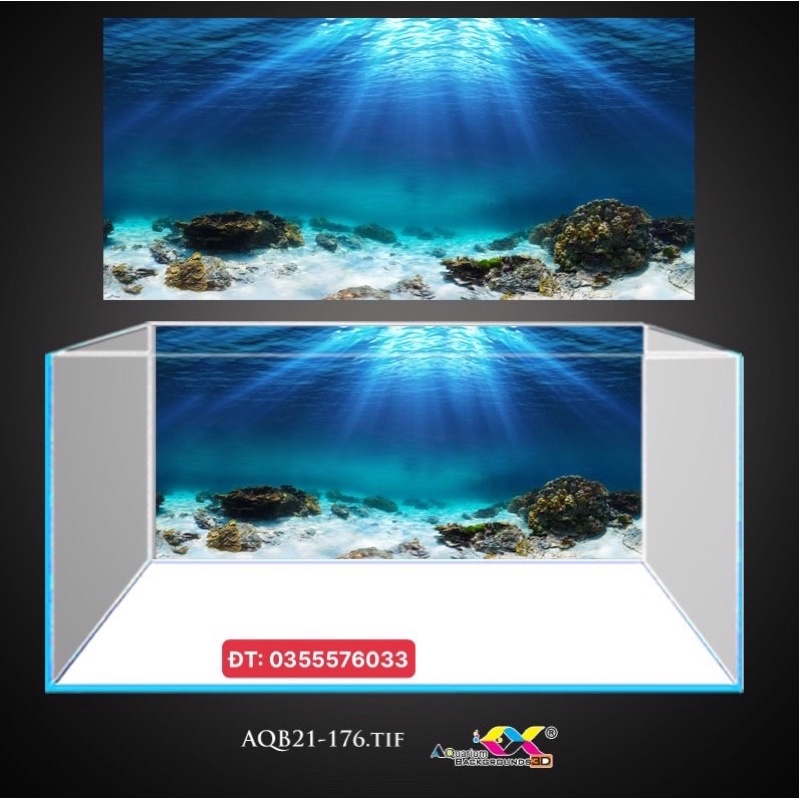 Tranh 3D dán hồ cá mẫu đáy biển tuyệt đẹp, có keo sẵn trên bề mặt, đa dạng kích thước (mã AQB21-176)