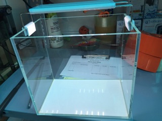 Đèn led máng siêu sáng của XML