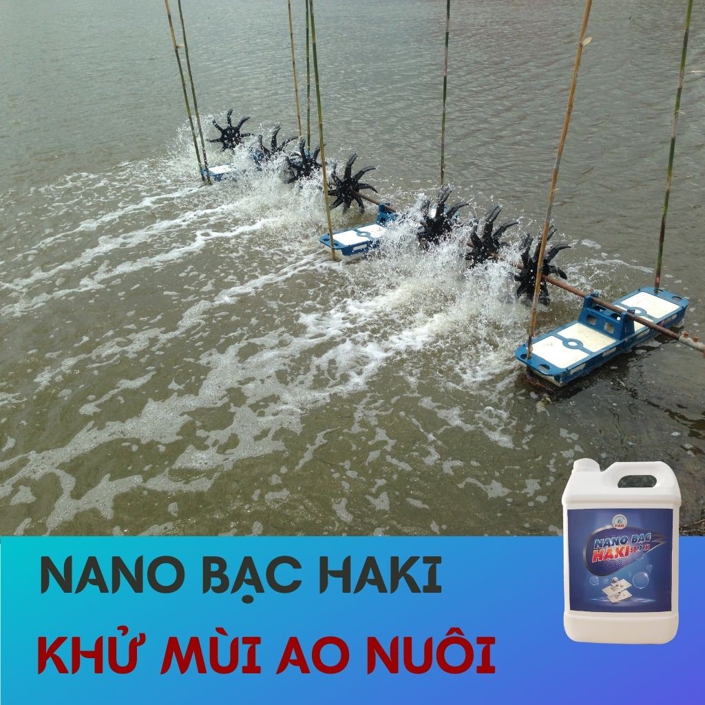 Nano bạc Haki nguyên chất cải tạo nguồn nướ, trộn vào thức ăn cho cá phòng và trị bệnh 500ppm – can 5l